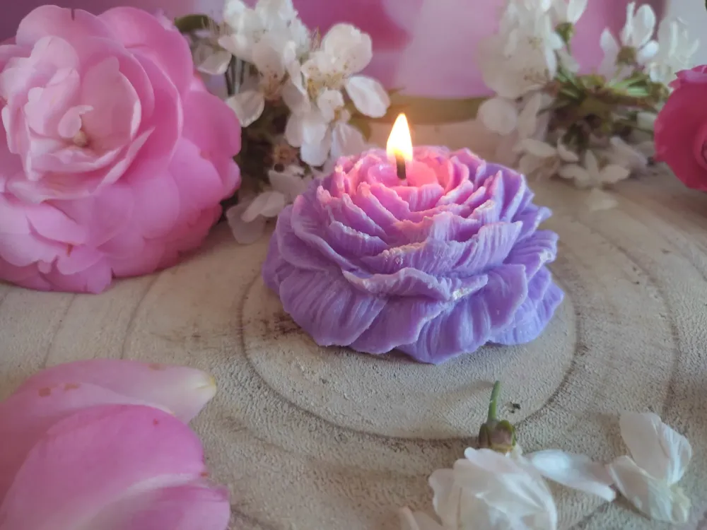 bougie-camelia-mauve-sur-bois-scaled-1 1
